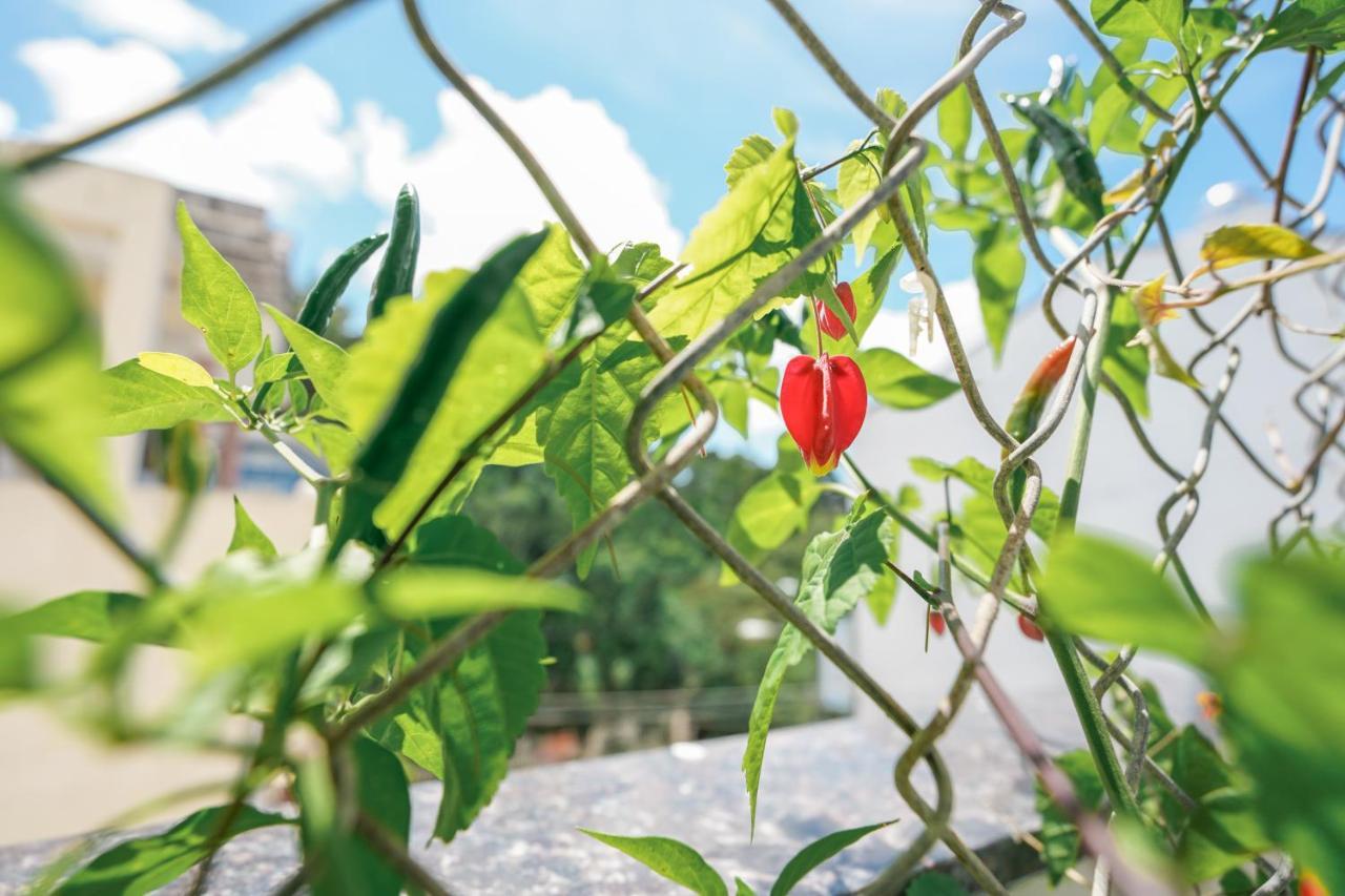 Khách Sạn Thái Hà Đà Lạt Extérieur photo
